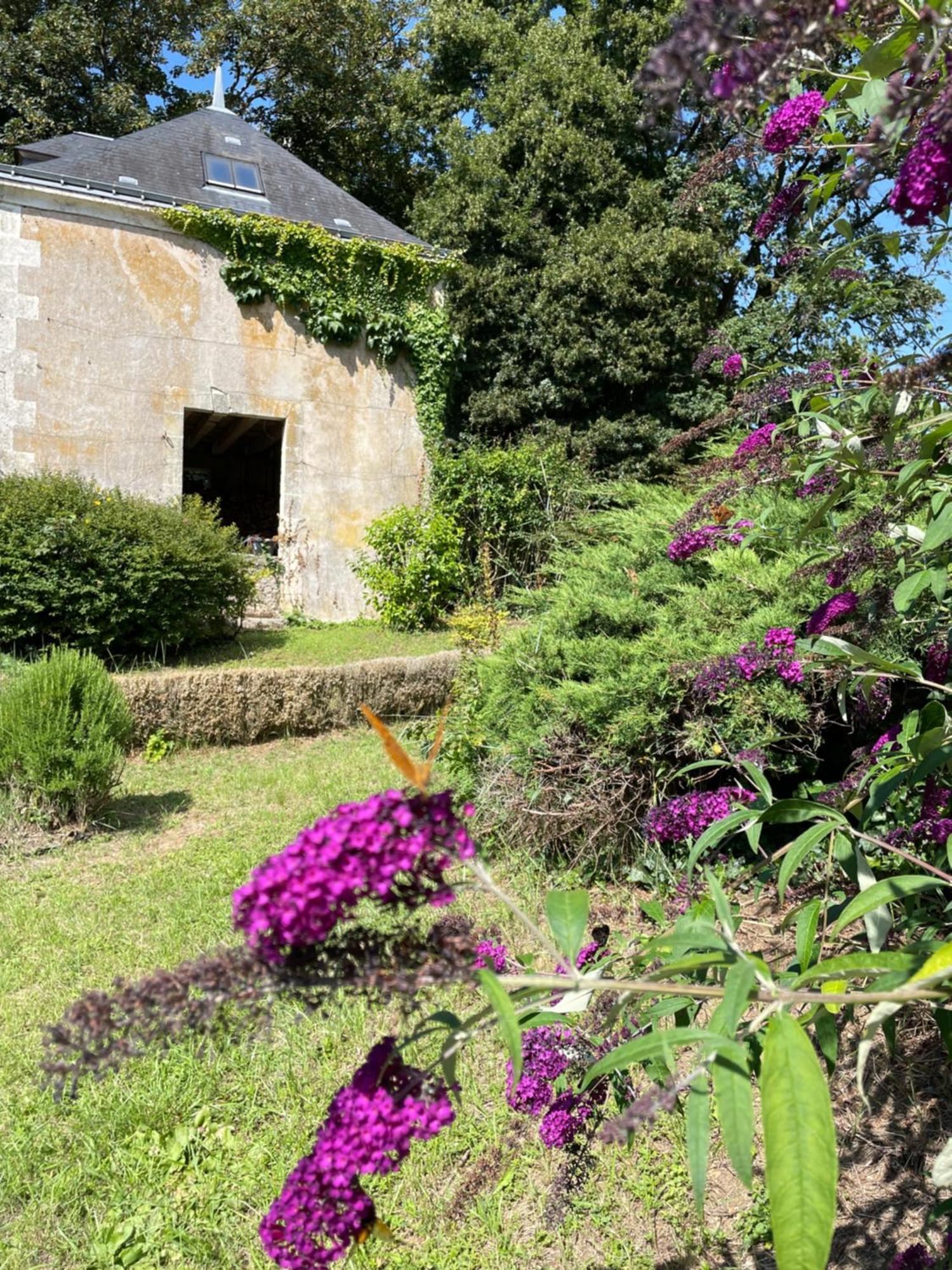 Chateau De La Huberdiere ナゼル エクステリア 写真
