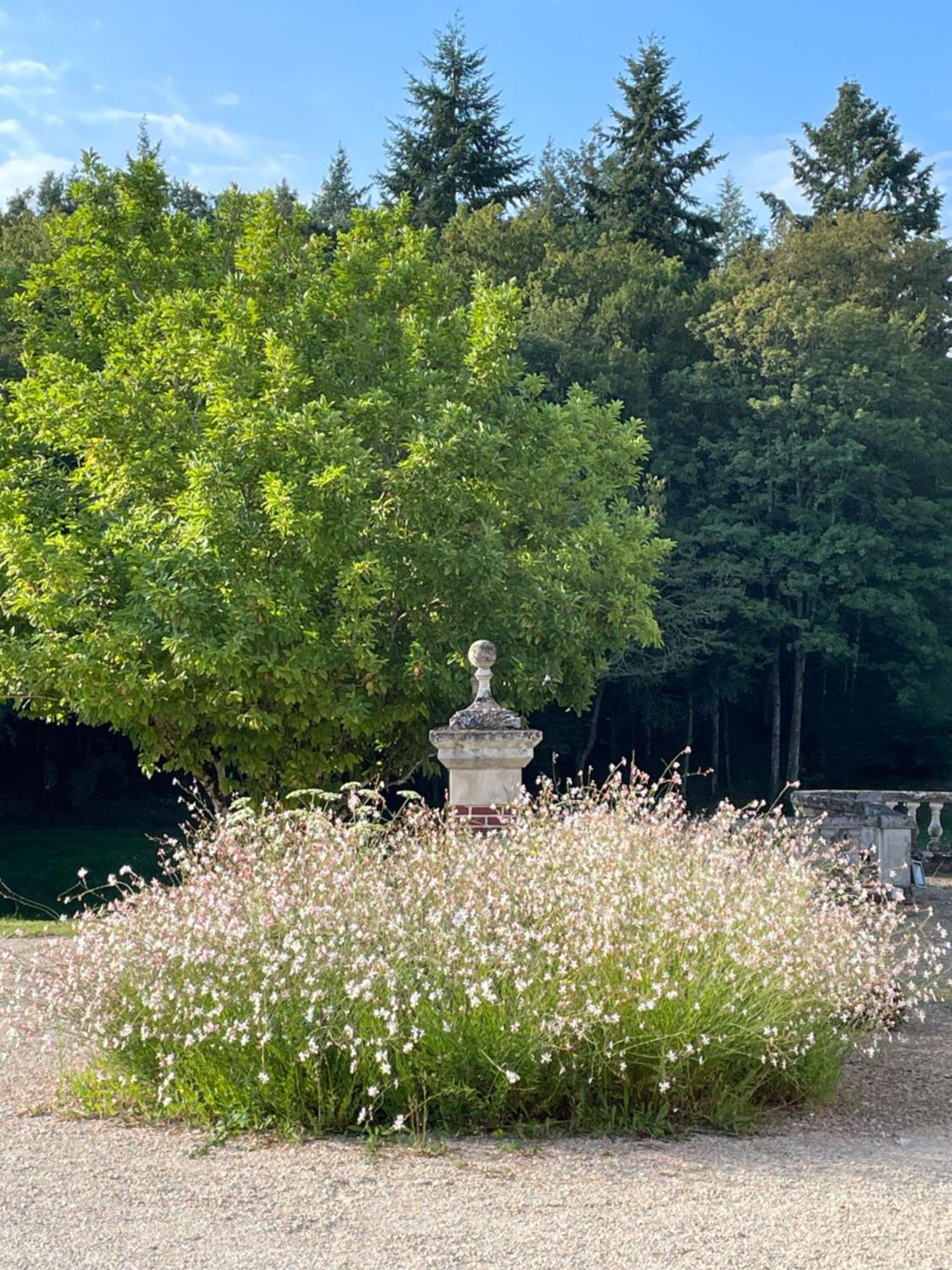 Chateau De La Huberdiere ナゼル エクステリア 写真