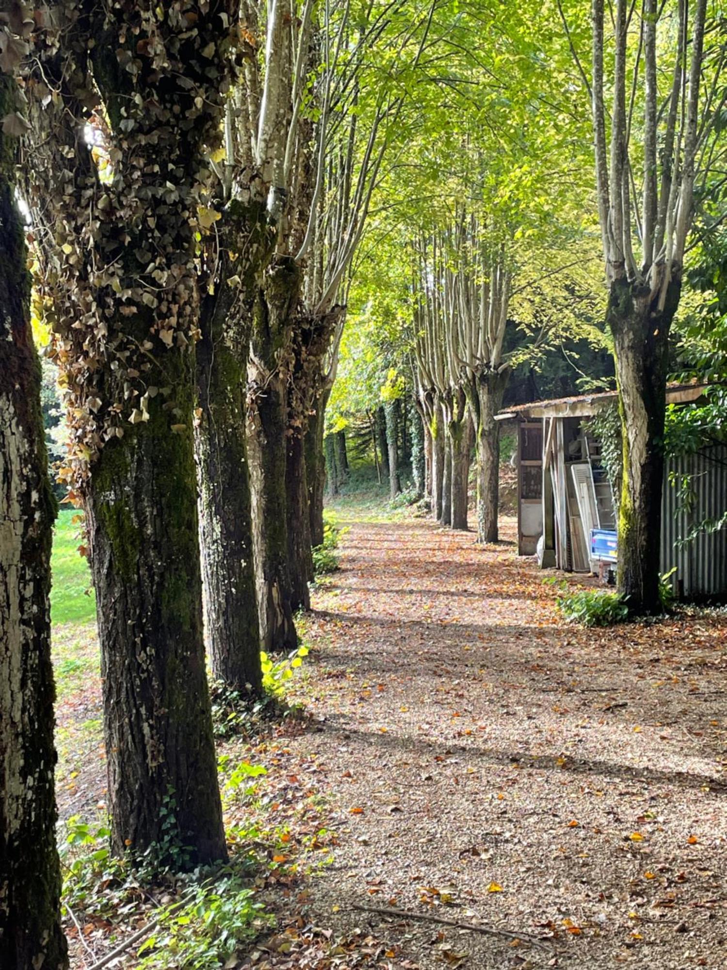 Chateau De La Huberdiere ナゼル エクステリア 写真